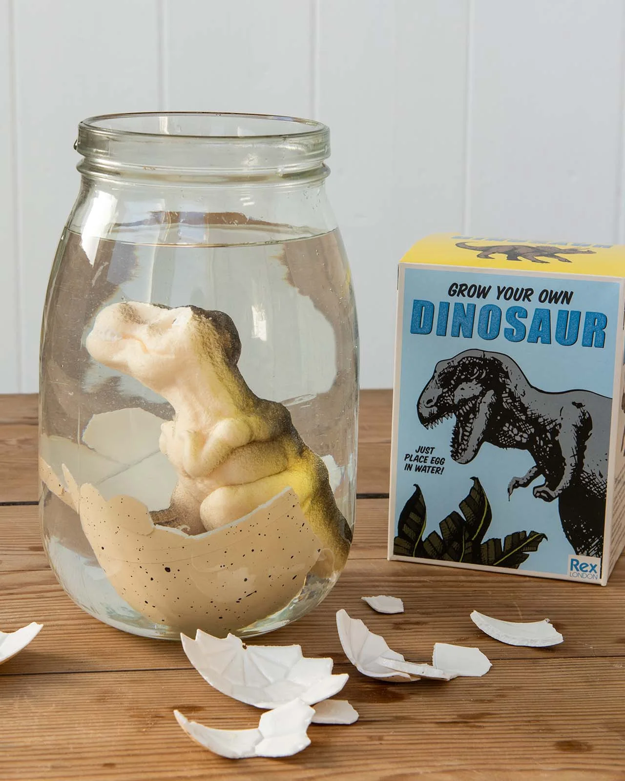 Dinosaur Egg - Image 4