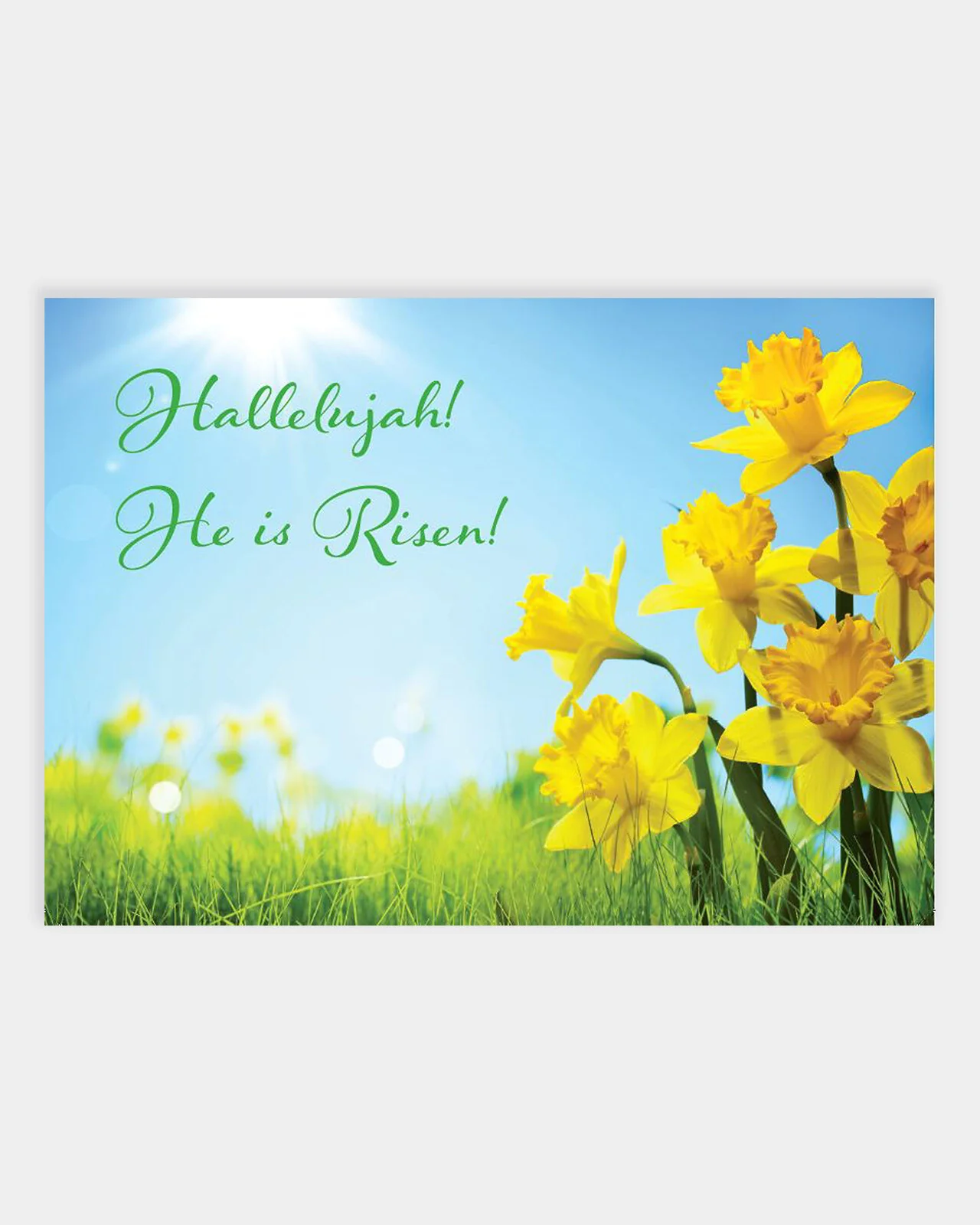 15 Easter Postcards - Image 4