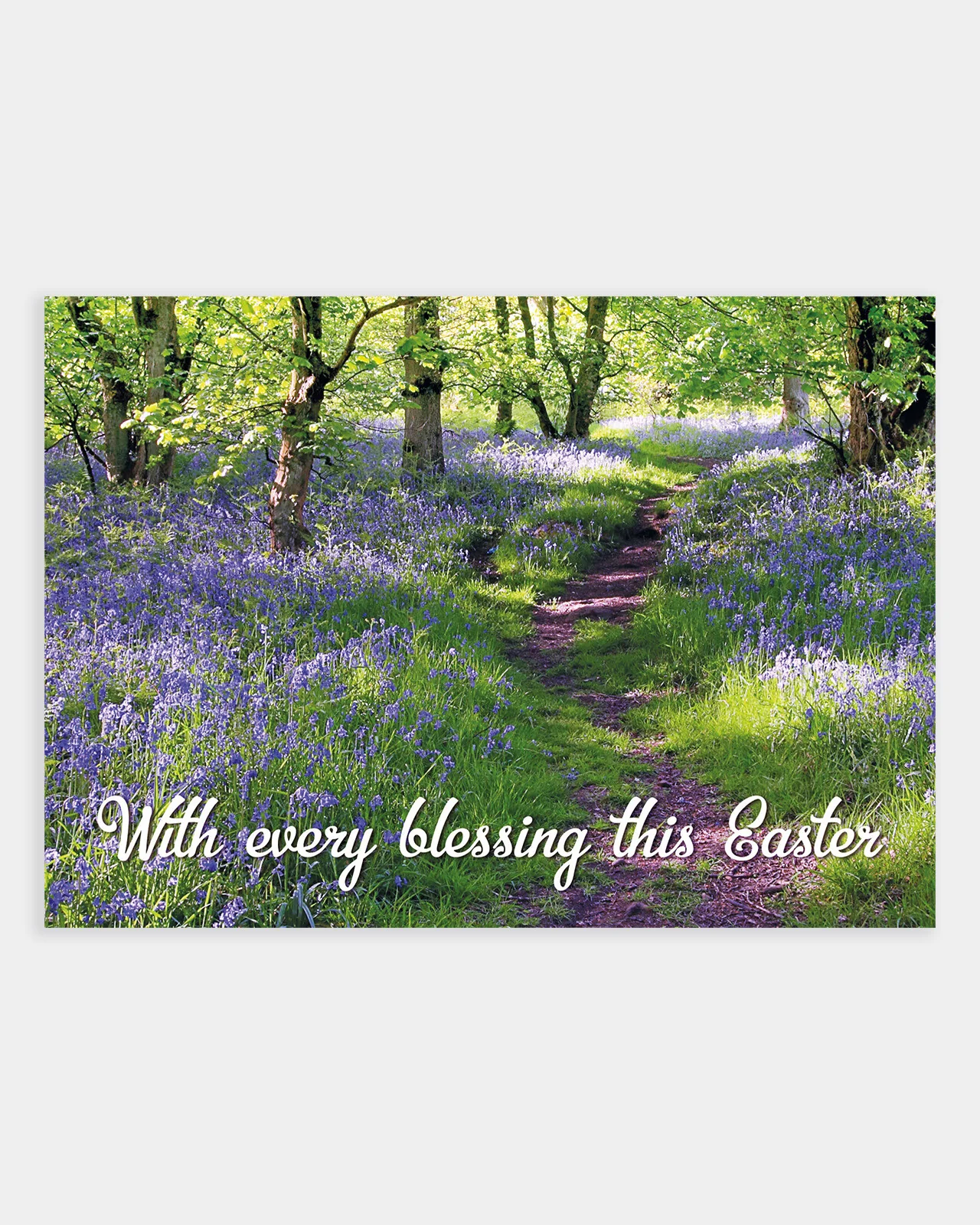 15 Easter Postcards - Image 5